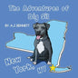 The Adventures of Big Sil New York, NY: Children's Book - Paperback