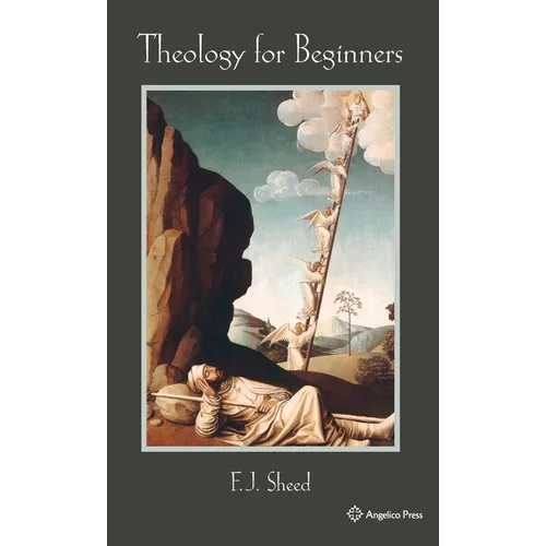 Theology for Beginners - Hardcover