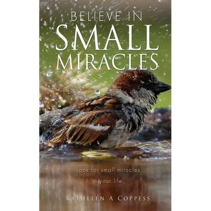 Believe in Small Miracles: Look for small miracles in your life. - Paperback