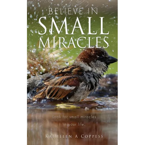 Believe in Small Miracles: Look for small miracles in your life. - Paperback