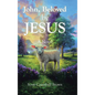 John, Beloved by JESUS - Hardcover