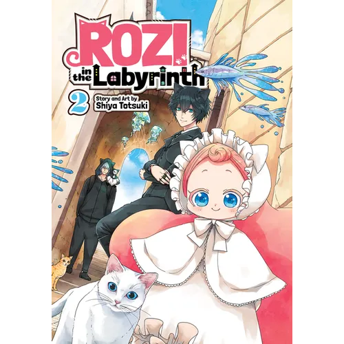 Rozi in the Labyrinth Vol. 2 - Paperback