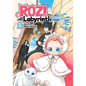 Rozi in the Labyrinth Vol. 2 - Paperback