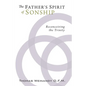 The Father's Spirit of Sonship - Paperback