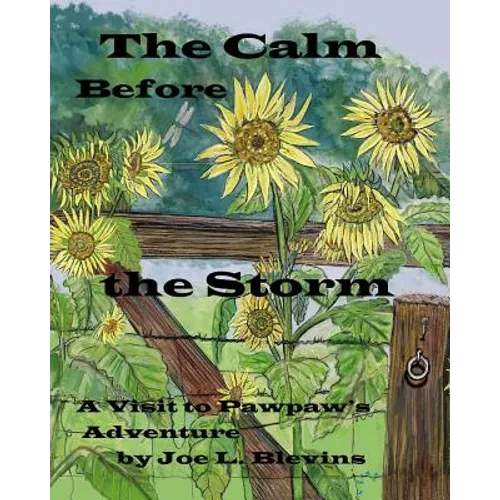 The Calm Before the Storm - Paperback