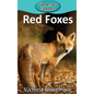 Red Foxes - Hardcover