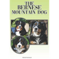 The Bernese Mountain Dog: A Complete and Comprehensive Beginners Guide To: Buying, Owning, Health, Grooming, Training, Obedience, Understanding - Paperback