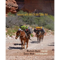 where will this train take me - Paperback
