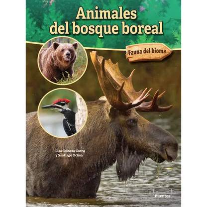 Animales del Bosque Boreal: Boreal Forest Animals - Paperback