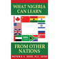 What Nigeria Can Learn From Other Nations - Hardcover