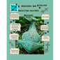 Dinosauria and Prehistoric creatures magazine Fall 2022 - Paperback