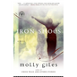 Iron Shoes - Paperback