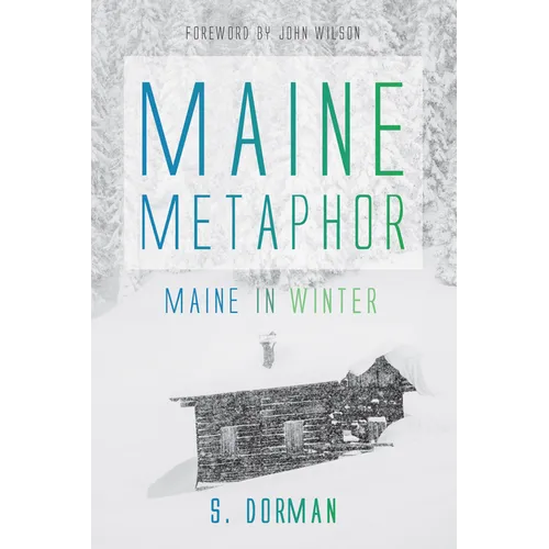 Maine Metaphor: Maine in Winter - Paperback