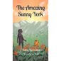 The Amazing Sunny York - Hardcover