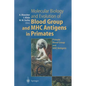Molecular Biology and Evolution of Blood Group and Mhc Antigens in Primates - Paperback