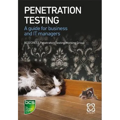 Penetration Testing: A guide for business and IT managers - Paperback