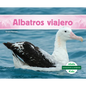 Albatros Viajero (Wandering Albatross) - Library Binding
