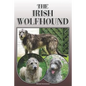 The Irish Wolfhound: A Complete and Comprehensive Owners Guide To: Buying, Owning, Health, Grooming, Training, Obedience, Understanding and - Paperback