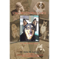 Unconditional Love: It's All About Dogs - Paperback
