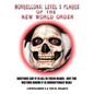 Morgellons: Level 5 Plague of the New World Order - Paperback