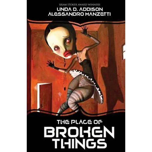 The Place of Broken Things - Paperback