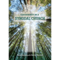 Leadership in a Synodal Church - Paperback