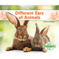 Different Ears of Animals - Library Binding