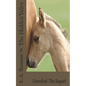 The Hidden Valley Unveiled: The Sequel - Paperback