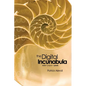 The Digital Incunabula: rock - paper - pixels - Paperback