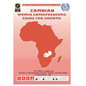 Zambian Women Entrepreneurs: Going for Growth - Paperback