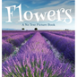 Flowers, A No Text Picture Book: A Calming Gift for Alzheimer Patients and Senior Citizens Living With Dementia - Hardcover