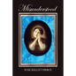 Misunderstood - Paperback