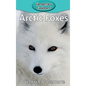 Arctic Foxes - Hardcover