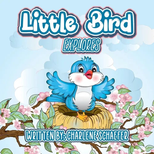 Little Bird: Explores - Paperback