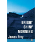 Bright Shiny Morning - Paperback