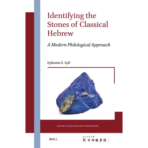 Identifying the Stones of Classical Hebrew: A Modern Philological Approach - Hardcover