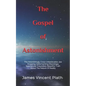 The Gospel of Astonishment: The Astonishingly Crazy Unbelievable Jaw Dropping Gobsmacking Shockingly Spectacular Exquisitely Beautiful Truth About - Paperback