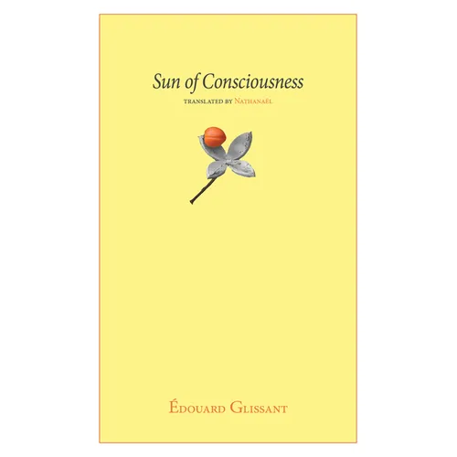 Sun of Consciousness - Paperback