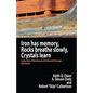 Iron Has Memory, Rocks Breathe Slowly, Crystals Learn: Long Term Thinking and Cultural Change-Revisited - Paperback
