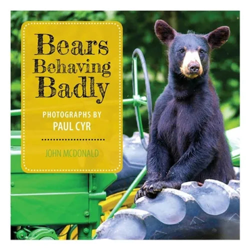 Bears Behaving Badly - Hardcover