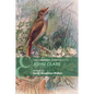 The Cambridge Companion to John Clare - Paperback