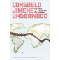 Consuelo Jimenez Underwood: Art, Weaving, Vision - Paperback