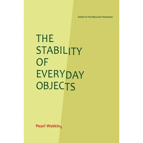 The Stability of Everyday Objects - Paperback