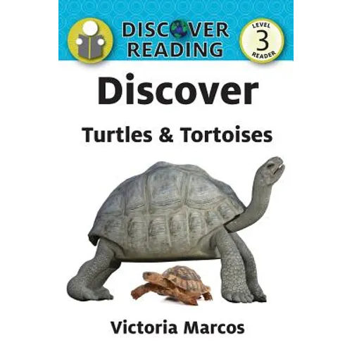 Discover Turtles & Tortoises - Paperback