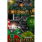 A Winter Crest Christmas: Ryan & Ruby - Paperback