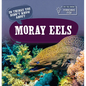 20 Things You Didn't Know about Moray Eels - Library Binding
