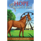 Hope County Fair - Paperback