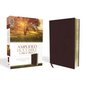 Amplified Bible-Am-Large Print: Captures the Full Meaning Behind the Original Greek and Hebrew - Bonded Leather
