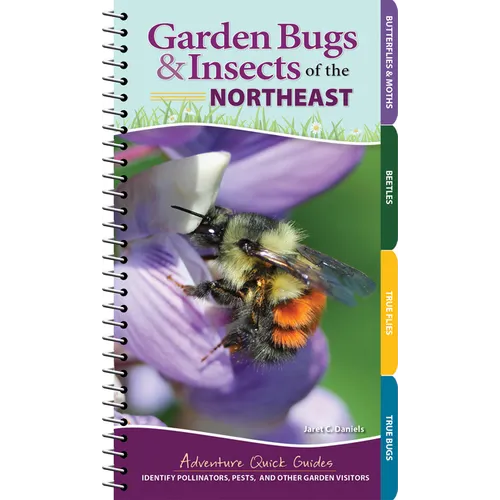 Garden Bugs & Insects of the Northeast: Identify Pollinators, Pests, and Other Garden Visitors - Spiral