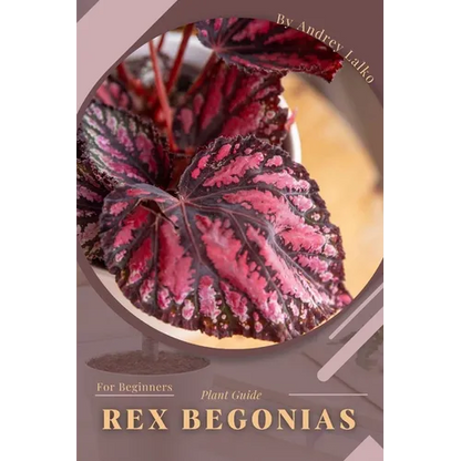 Rex Begonias: Plant Guide - Paperback